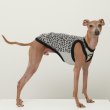 画像1: イタグレ服 S M L XL 2XL 3XL ヒョウ柄 タンクトップ Tシャツ レオパード 小型犬 中型犬 大型犬 春 夏服 doggystar ドッギースター 6/24より発送 (1)