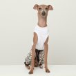 画像11: イタグレ服 S M L XL 2XL 3XL ヒョウ柄 ロンパース つなぎ レオパードゆったり ジョガーパンツ 小型犬 中型犬 大型犬 春夏 doggystar ドッギースター 6/24より発送 (11)