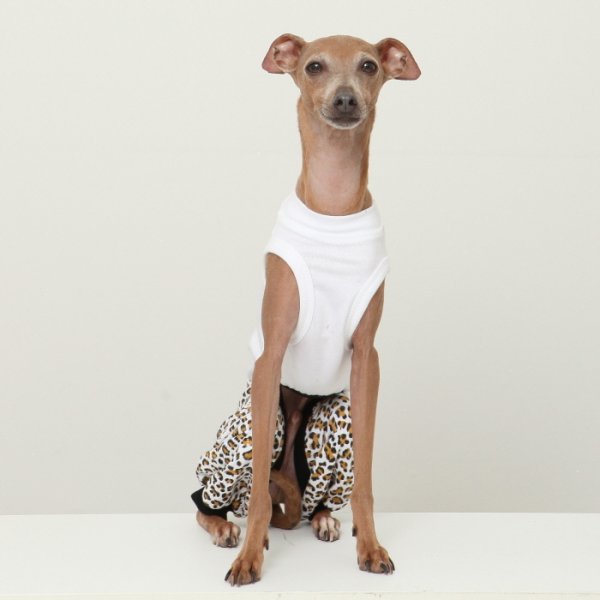 画像12: イタグレ服 S M L XL 2XL 3XL ヒョウ柄 ロンパース つなぎ レオパードゆったり ジョガーパンツ 小型犬 中型犬 大型犬 春夏 doggystar ドッギースター 即日発送できます (12)