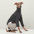 画像15: イタグレ服 S M L XL 2XL 3XL ヒョウ柄 ロンパース つなぎ レオパードゆったり ジョガーパンツ 小型犬 中型犬 大型犬 春夏 doggystar ドッギースター 6/24より発送 (15)