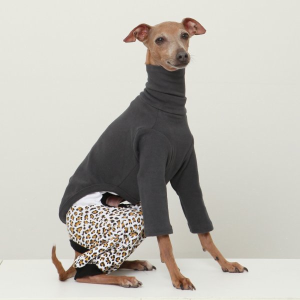 画像16: イタグレ服 S M L XL 2XL 3XL ヒョウ柄 ロンパース つなぎ レオパードゆったり ジョガーパンツ 小型犬 中型犬 大型犬 春夏 doggystar ドッギースター 即日発送できます (16)