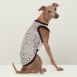画像11: イタグレ服 S M L XL 2XL 3XL ヒョウ柄 タンクトップ Tシャツ レオパード 小型犬 中型犬 大型犬 春 夏服 doggystar ドッギースター 6/24より発送 (11)
