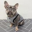 画像24: フレブル服  L XL 2XL 3XL 4XL 5XL  ヒョウ柄 タンクトップ レオパード 中型犬 大型犬 フレンチブルドッグ パグ  夏 doggystar ドッギースター 即日発送できます (24)