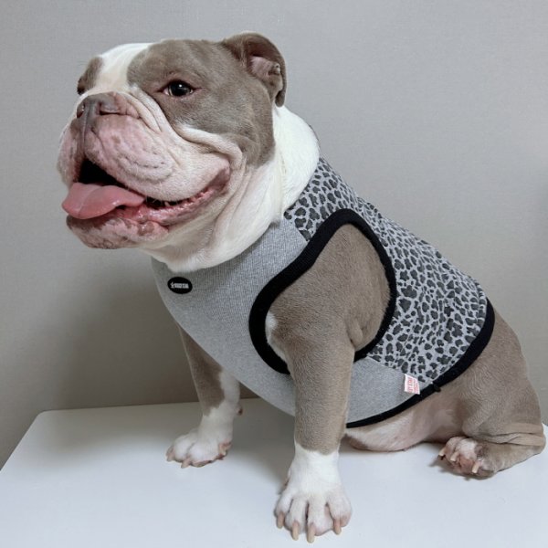 画像20: フレブル服  L XL 2XL 3XL 4XL 5XL  ヒョウ柄 タンクトップ レオパード 中型犬 大型犬 フレンチブルドッグ パグ  夏 doggystar ドッギースター 即日発送できます (20)