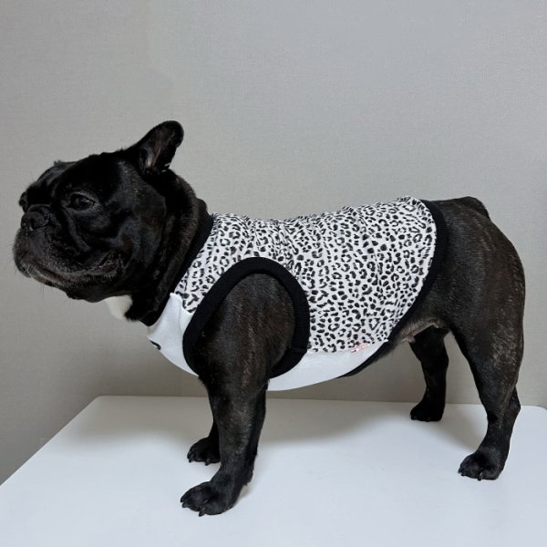 画像13: フレブル服  L XL 2XL 3XL 4XL 5XL  ヒョウ柄 タンクトップ レオパード 中型犬 大型犬 フレンチブルドッグ パグ  夏 doggystar ドッギースター 即日発送できます (13)