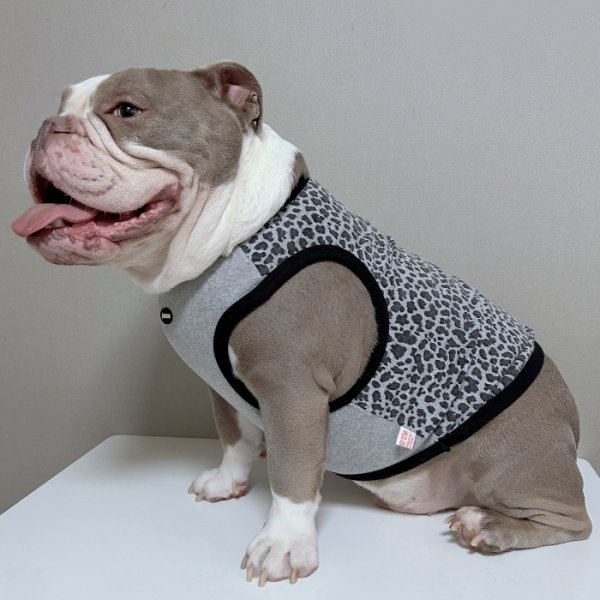 画像21: フレブル服  L XL 2XL 3XL 4XL 5XL  ヒョウ柄 タンクトップ レオパード 中型犬 大型犬 フレンチブルドッグ パグ  夏 doggystar ドッギースター 即日発送できます (21)