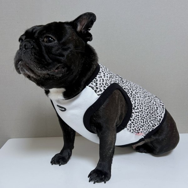 画像14: フレブル服  L XL 2XL 3XL 4XL 5XL  ヒョウ柄 タンクトップ レオパード 中型犬 大型犬 フレンチブルドッグ パグ  夏 doggystar ドッギースター 即日発送できます (14)
