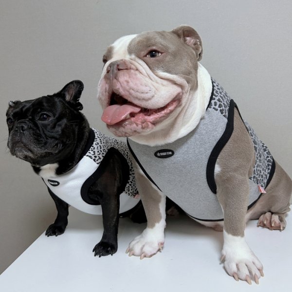 画像26: フレブル服  L XL 2XL 3XL 4XL 5XL  ヒョウ柄 タンクトップ レオパード 中型犬 大型犬 フレンチブルドッグ パグ  夏 doggystar ドッギースター 即日発送できます (26)