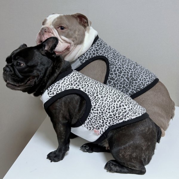 画像27: フレブル服  L XL 2XL 3XL 4XL 5XL  ヒョウ柄 タンクトップ レオパード 中型犬 大型犬 フレンチブルドッグ パグ  夏 doggystar ドッギースター 即日発送できます (27)