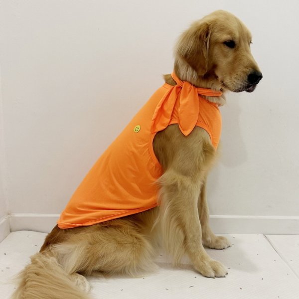 画像22: 犬服 大型犬服 接触 冷感 Tシャツ スマイル 無地 S M L XL 2XL 3XL 4XL 5XL 6XL小型犬 中型犬 大型犬 ひんやり クール ベスト スカーフ付き 熱中症対策 doggystar ドッギースター 即日発送出来ます (22)