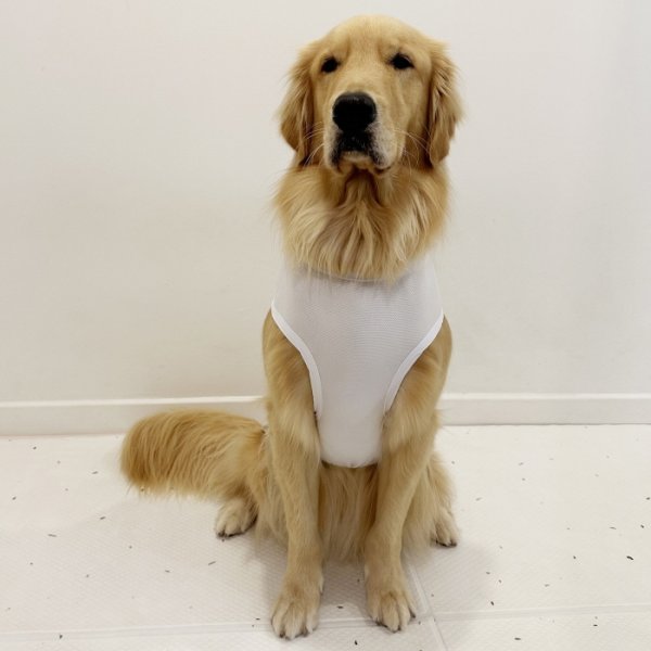 画像17: 犬服 大型犬服 接触 冷感 Tシャツ スマイル 無地 S M L XL 2XL 3XL 4XL 5XL 小型犬 中型犬 大型犬 ひんやり クール ベスト 熱中症対策 doggystar ドッギースター  即日発送出来ます (17)