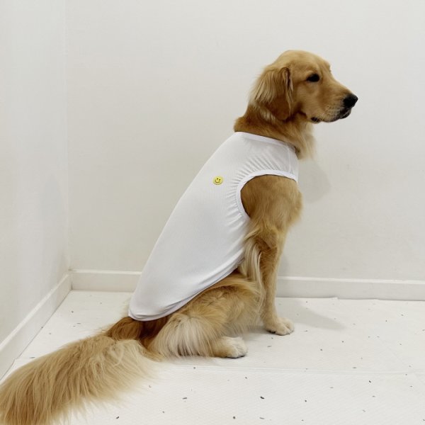 画像16: 犬服 大型犬服 接触 冷感 Tシャツ スマイル 無地 S M L XL 2XL 3XL 4XL 5XL 小型犬 中型犬 大型犬 ひんやり クール ベスト 熱中症対策 doggystar ドッギースター  即日発送出来ます (16)