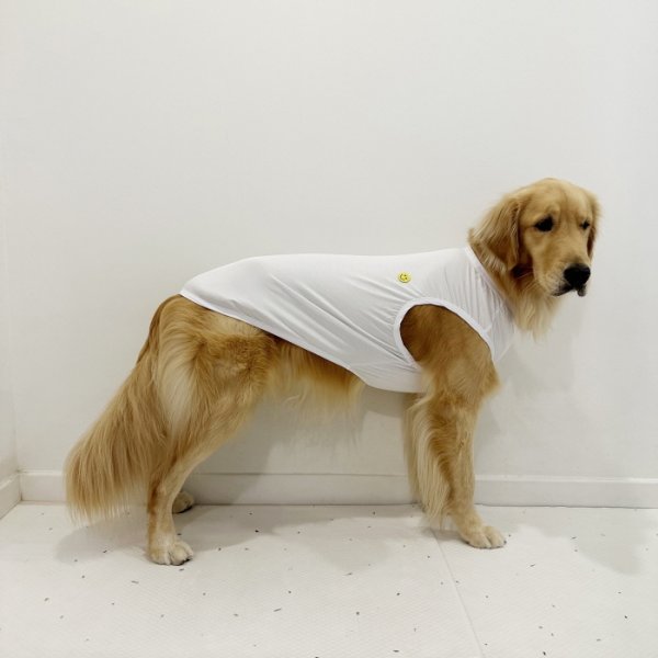 画像18: 犬服 大型犬服 接触 冷感 Tシャツ スマイル 無地 S M L XL 2XL 3XL 4XL 5XL 小型犬 中型犬 大型犬 ひんやり クール ベスト 熱中症対策 doggystar ドッギースター  即日発送出来ます (18)