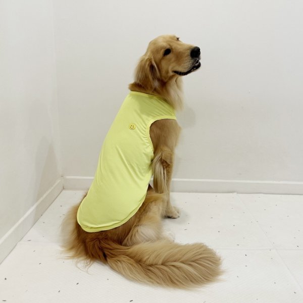 画像23: 犬服 大型犬服 接触 冷感 Tシャツ スマイル 無地 S M L XL 2XL 3XL 4XL 5XL 小型犬 中型犬 大型犬 ひんやり クール ベスト 熱中症対策 doggystar ドッギースター  即日発送出来ます (23)