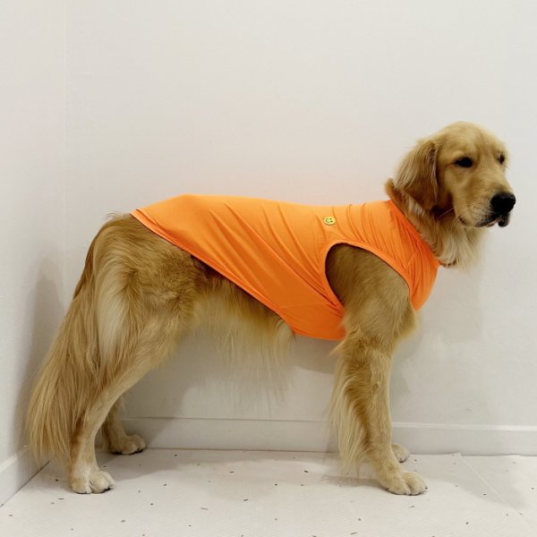 画像19: 犬服 大型犬服 接触 冷感 Tシャツ スマイル 無地 S M L XL 2XL 3XL 4XL 5XL 小型犬 中型犬 大型犬 ひんやり クール ベスト 熱中症対策 doggystar ドッギースター  即日発送出来ます (19)