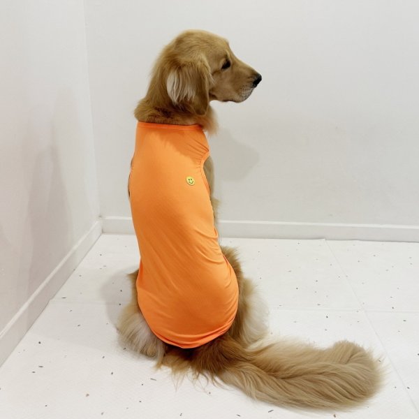 画像20: 犬服 大型犬服 接触 冷感 Tシャツ スマイル 無地 S M L XL 2XL 3XL 4XL 5XL 小型犬 中型犬 大型犬 ひんやり クール ベスト 熱中症対策 doggystar ドッギースター  即日発送出来ます (20)