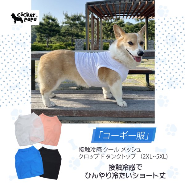 画像1: コーギー服 2XL 3XL 4XL 5XL  接触冷感 クール メッシュ  クロップド タンクトップ ひんやり 中型犬 大型犬  夏 doggystar ドッギースター 即日発送出来ます (1)