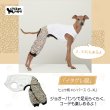 画像1: イタグレ服 S M L XL 2XL 3XL ヒョウ柄 ロンパース つなぎ レオパードゆったり ジョガーパンツ 小型犬 中型犬 大型犬 春夏 doggystar ドッギースター 即日発送できます (1)