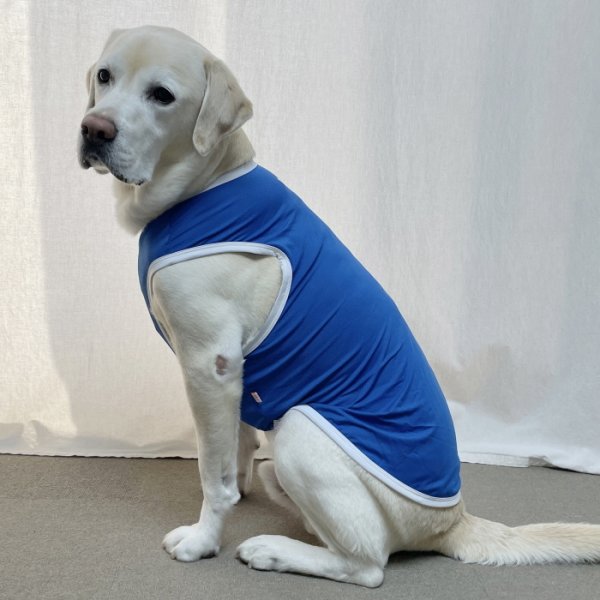 画像27: 犬 服 大型 犬服 接触 冷感 ひんやりクール ベスト スポーツ S M L XL  2XL 3XL 4XL 5XL 6XL 小型 犬 中型犬 大型犬 タンク トップ 熱中症対策 doggystar ドッギースター  即日発送出来ます (27)