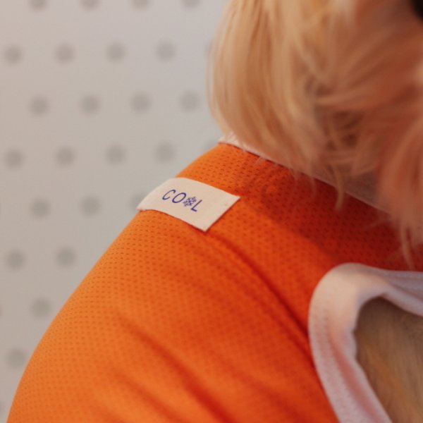 画像18: 犬 服 大型 犬服 接触 冷感 ひんやりクール ベスト スポーツ S M L XL  2XL 3XL 4XL 5XL 6XL 小型 犬 中型犬 大型犬 タンク トップ 熱中症対策 doggystar ドッギースター  即日発送出来ます (18)