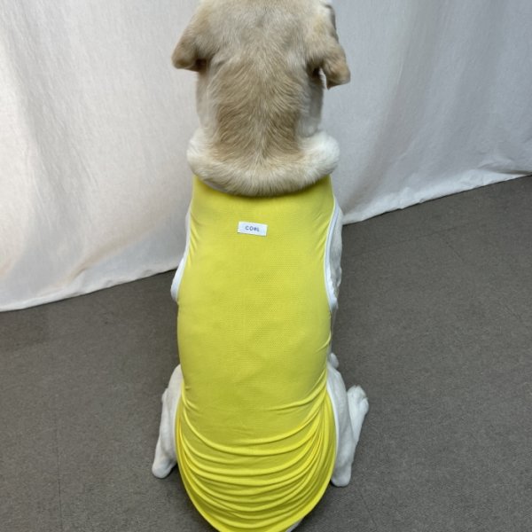 画像7: 犬 服 大型 犬服 接触 冷感 ひんやりクール ベスト スポーツ S M L XL  2XL 3XL 4XL 5XL 6XL 小型 犬 中型犬 大型犬 タンク トップ 熱中症対策 doggystar ドッギースター  即日発送出来ます (7)