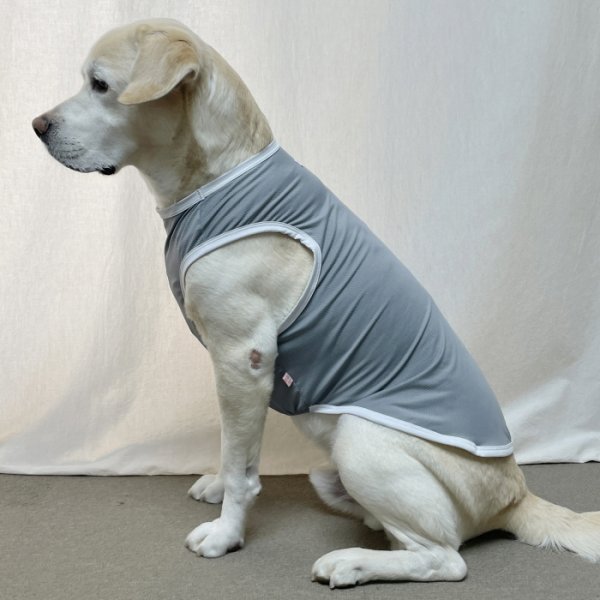 画像10: 犬 服 大型 犬服 接触 冷感 ひんやりクール ベスト スポーツ S M L XL  2XL 3XL 4XL 5XL 6XL 小型 犬 中型犬 大型犬 タンク トップ 熱中症対策 doggystar ドッギースター  即日発送出来ます (10)