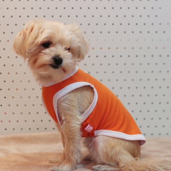 画像15: 犬 服 大型 犬服 接触 冷感 ひんやりクール ベスト スポーツ S M L XL  2XL 3XL 4XL 5XL 6XL 小型 犬 中型犬 大型犬 タンク トップ 熱中症対策 doggystar ドッギースター  即日発送出来ます (15)