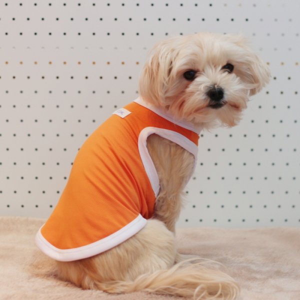 画像16: 犬 服 大型 犬服 接触 冷感 ひんやりクール ベスト スポーツ S M L XL  2XL 3XL 4XL 5XL 6XL 小型 犬 中型犬 大型犬 タンク トップ 熱中症対策 doggystar ドッギースター  即日発送出来ます (16)