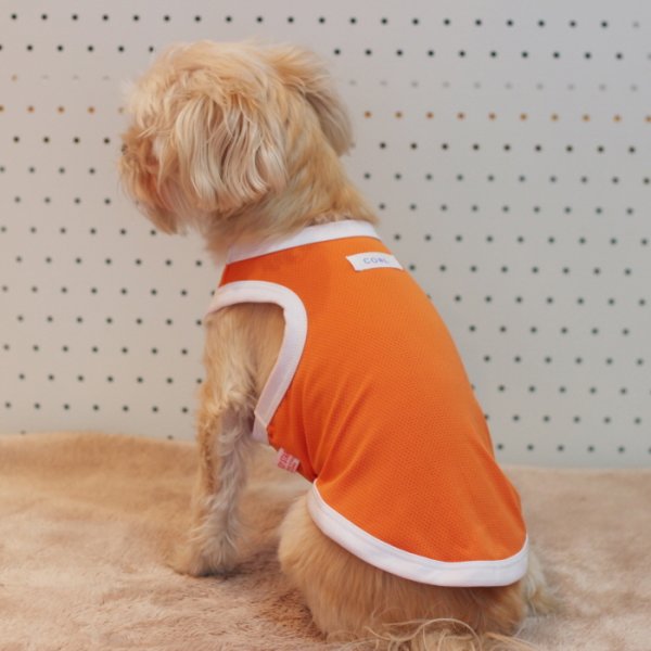 画像17: 犬 服 大型 犬服 接触 冷感 ひんやりクール ベスト スポーツ S M L XL  2XL 3XL 4XL 5XL 6XL 小型 犬 中型犬 大型犬 タンク トップ 熱中症対策 doggystar ドッギースター  即日発送出来ます (17)