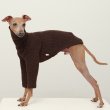 画像14: イタグレ服 無地ニットTシャツ S M L XL 2XL 3XL 小型犬 中型犬 春夏秋冬室内着 インナー doggystar ドッギースター 9/8より発送出来ます (14)