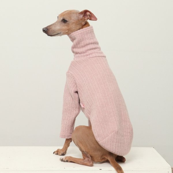 画像9: イタグレ服 無地ニットTシャツ S M L XL 2XL 3XL 小型犬 中型犬 春夏秋冬室内着 インナー doggystar ドッギースター 即日発送出来ます (9)