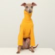 画像22: イタグレ服 無地ニットTシャツ S M L XL 2XL 3XL 小型犬 中型犬 春夏秋冬室内着 インナー doggystar ドッギースター 9/8より発送出来ます (22)