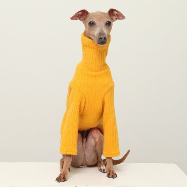 画像27: イタグレ服 無地ニットTシャツ S M L XL 2XL 3XL 小型犬 中型犬 春夏秋冬室内着 インナー doggystar ドッギースター 即日発送出来ます (27)