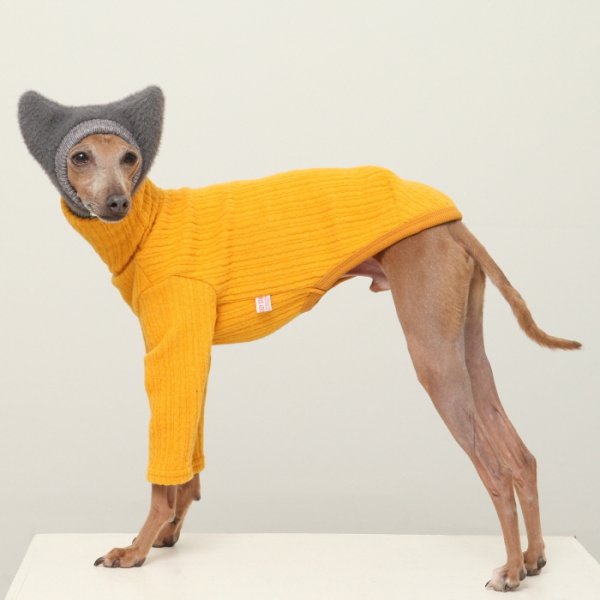 画像29: イタグレ服 無地ニットTシャツ S M L XL 2XL 3XL 小型犬 中型犬 春夏秋冬室内着 インナー doggystar ドッギースター 即日発送出来ます (29)