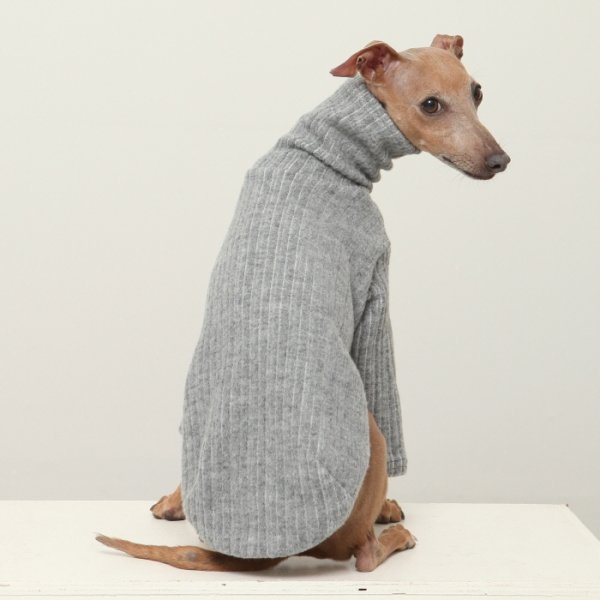 画像38: イタグレ服 無地ニットTシャツ S M L XL 2XL 3XL 小型犬 中型犬 春夏秋冬室内着 インナー doggystar ドッギースター 即日発送出来ます (38)