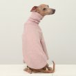 画像7: イタグレ服 無地ニットTシャツ S M L XL 2XL 3XL 小型犬 中型犬 春夏秋冬室内着 インナー doggystar ドッギースター 9/8より発送出来ます (7)