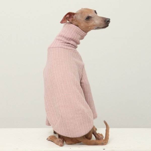 画像8: イタグレ服 無地ニットTシャツ S M L XL 2XL 3XL 小型犬 中型犬 春夏秋冬室内着 インナー doggystar ドッギースター 即日発送出来ます (8)