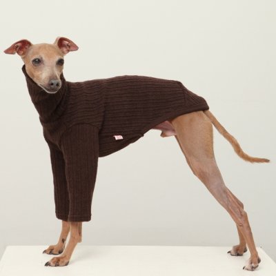 画像1: イタグレ服 無地ニットTシャツ S M L XL 2XL 3XL 小型犬 中型犬 春夏秋冬室内着 インナー doggystar ドッギースター 9/8より発送出来ます