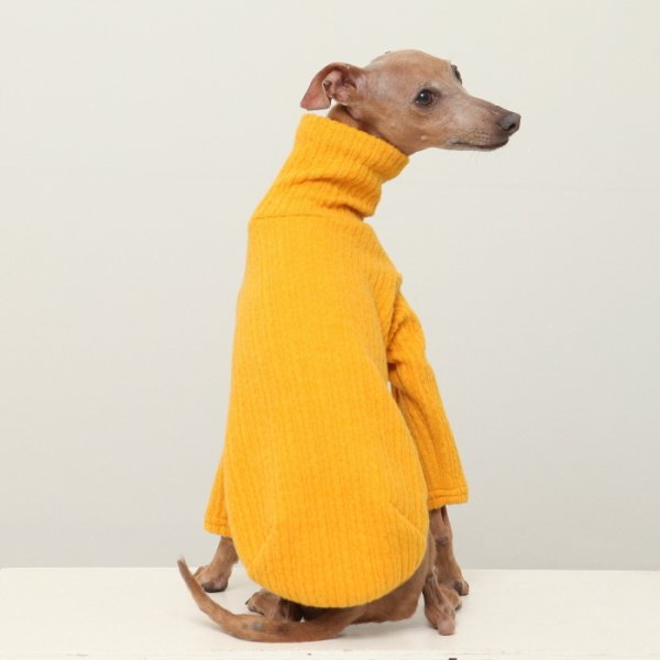 画像26: イタグレ服 無地ニットTシャツ S M L XL 2XL 3XL 小型犬 中型犬 春夏秋冬室内着 インナー doggystar ドッギースター 即日発送出来ます (26)