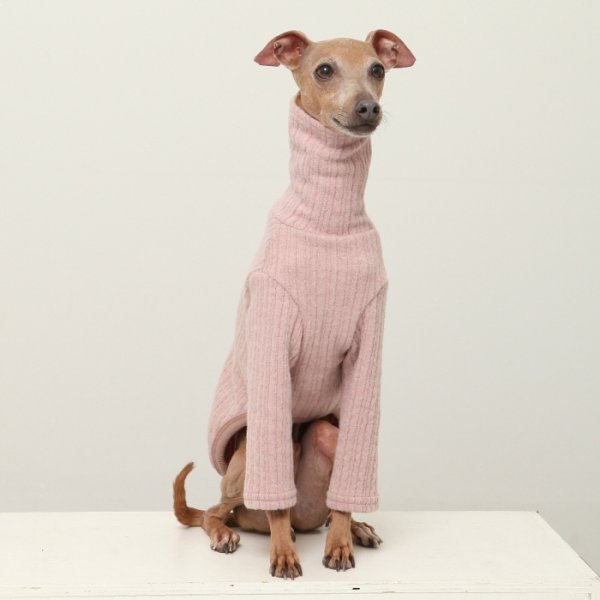 画像10: イタグレ服 無地ニットTシャツ S M L XL 2XL 3XL 小型犬 中型犬 春夏秋冬室内着 インナー doggystar ドッギースター 即日発送出来ます (10)