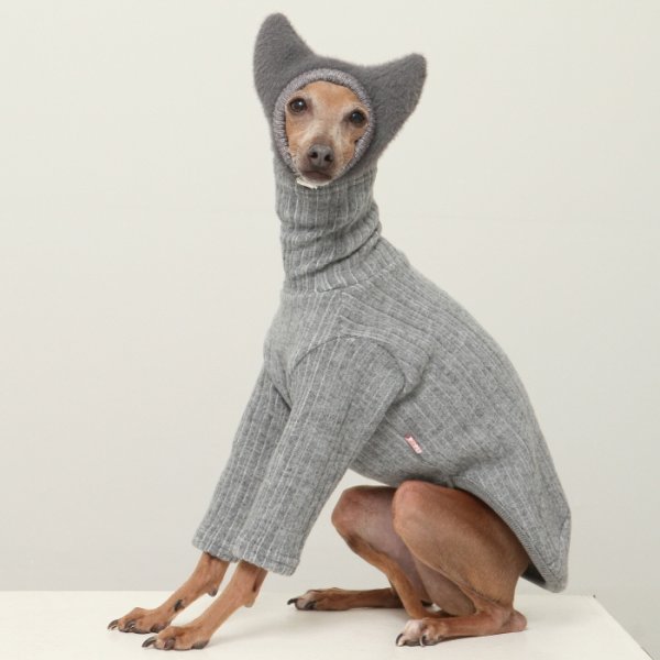 画像39: イタグレ服 無地ニットTシャツ S M L XL 2XL 3XL 小型犬 中型犬 春夏秋冬室内着 インナー doggystar ドッギースター 即日発送出来ます (39)