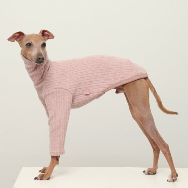 画像1: イタグレ服 無地ニットTシャツ S M L XL 2XL 3XL 小型犬 中型犬 春夏秋冬室内着 インナー doggystar ドッギースター 9/8より発送出来ます (1)