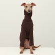 画像15: イタグレ服 無地ニットTシャツ S M L XL 2XL 3XL 小型犬 中型犬 春夏秋冬室内着 インナー doggystar ドッギースター 9/8より発送出来ます (15)