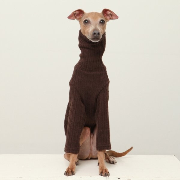 画像19: イタグレ服 無地ニットTシャツ S M L XL 2XL 3XL 小型犬 中型犬 春夏秋冬室内着 インナー doggystar ドッギースター 即日発送出来ます (19)