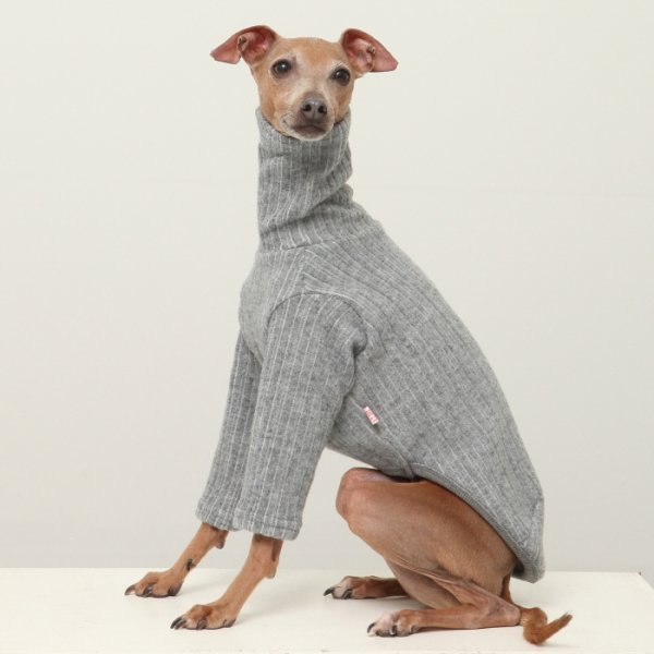 画像37: イタグレ服 無地ニットTシャツ S M L XL 2XL 3XL 小型犬 中型犬 春夏秋冬室内着 インナー doggystar ドッギースター 即日発送出来ます (37)