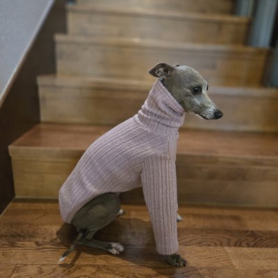画像3: イタグレ服 無地ニットTシャツ S M L XL 2XL 3XL 小型犬 中型犬 春夏秋冬室内着 インナー doggystar ドッギースター 即日発送出来ます