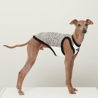 画像3: イタグレ服 S M L XL 2XL 3XL ヒョウ柄 タンクトップ Tシャツ レオパード 小型犬 中型犬 大型犬 春 夏服 doggystar ドッギースター 即日発送できます