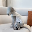 画像27: イタグレ服 S M L XL 2XL 3XL ヒョウ柄 ロンパース つなぎ レオパードゆったり ジョガーパンツ 小型犬 中型犬 大型犬 春夏 doggystar ドッギースター 即日発送できます (27)