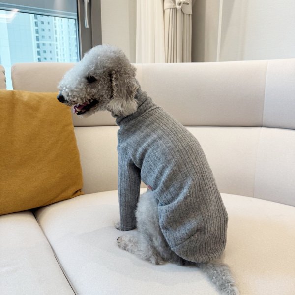 画像40: イタグレ服 無地ニットTシャツ S M L XL 2XL 3XL 小型犬 中型犬 春夏秋冬室内着 インナー doggystar ドッギースター 即日発送出来ます (40)