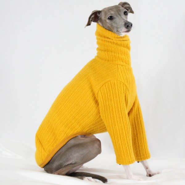 画像28: イタグレ服 無地ニットTシャツ S M L XL 2XL 3XL 小型犬 中型犬 春夏秋冬室内着 インナー doggystar ドッギースター 即日発送出来ます (28)